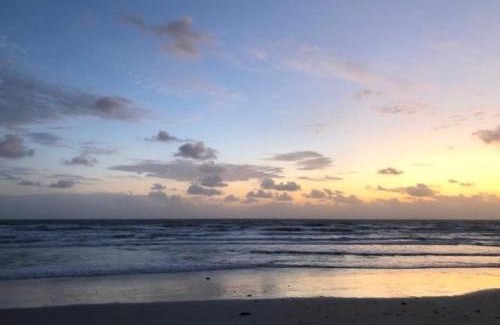 Seabreeze Park Hotel | Oceanfront Cove Motel: Family-Friendly with Pool Access