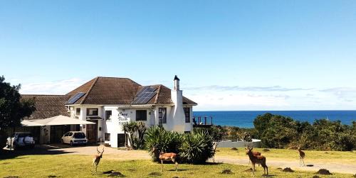 East London Bed & Breakfast | Welcome to Cove View B&B with Oceanfront Pool & Beach
