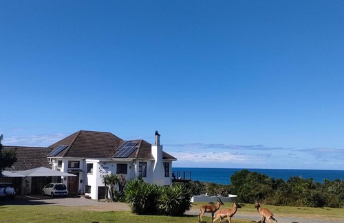 East London Bed & Breakfast | Welcome to Cove View B&B with Oceanfront Pool & Beach