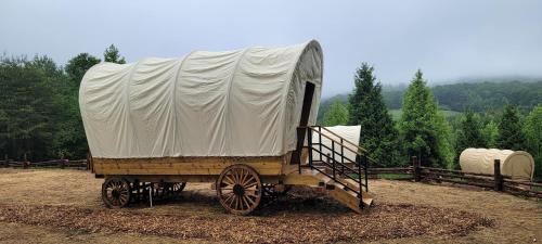 Lenoir Other | Discover Covered Wagons Hill Camp - WAGON 2: Family & Pet Friendly