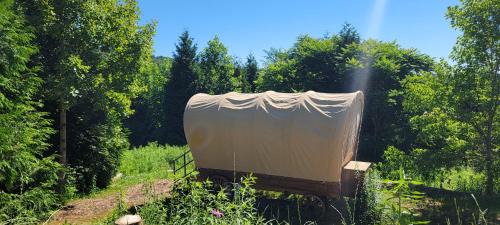 Lenoir Other | Family-Friendly Covered Wagons Hill Camp - Pet Welcome