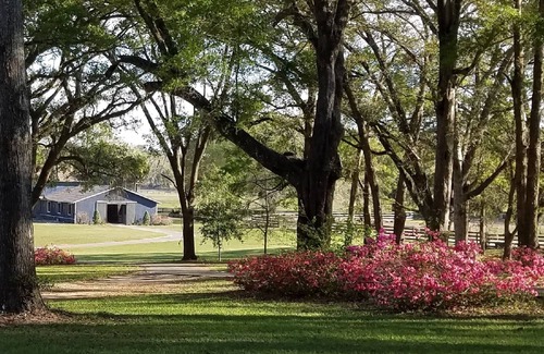 Citra House | Pet-Friendly Cowboy Cottage on Scenic Horse Farm Retreat