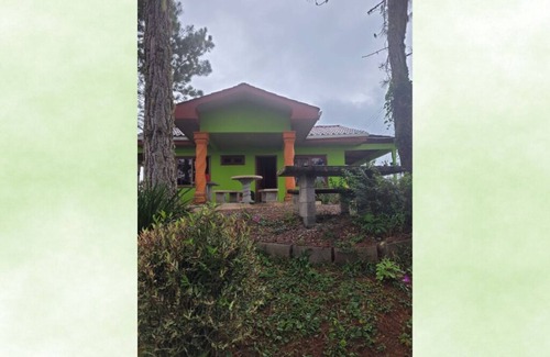 Quebrada La Gamba House | Cozy Mountain Cabin Surrounded by Pine Trees for Families