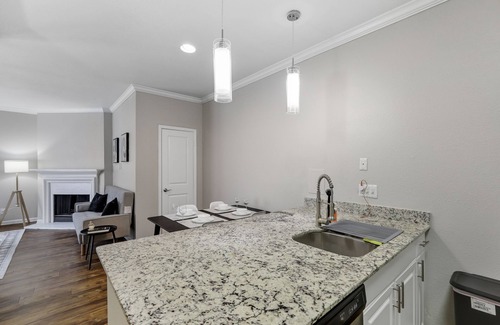 Plano Apartment | Cozy 1-bedroom with WiFi and fitness room in nice Plano