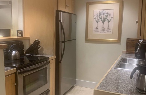 Telluride Condo | Relaxing 1BR Condo Near Town Center with Hot Tub Access