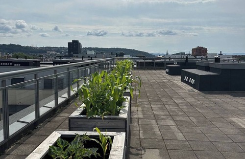 Gamle Oslo Apartment | Cozy 2-bedroom apartment in pleasant Oslo with WiFi