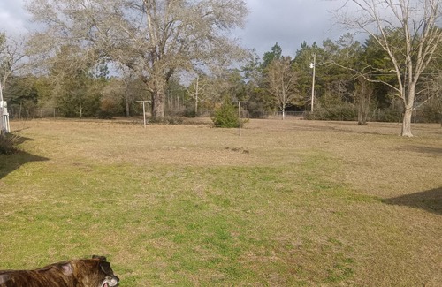 De Funiak Springs House | Inviting 2-Bedroom Mobile Home with AC & WiFi in DeFuniak Springs