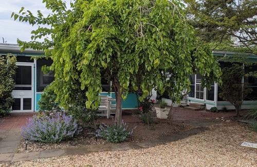 Rehoboth by the Sea Cottage | Beachside 2 BR Cottage with Ocean View & Pet Friendly