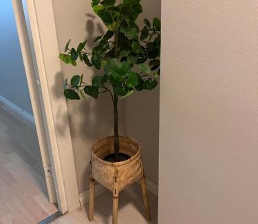 Tampere Apartment | Cozy 2 br in the heart of the city