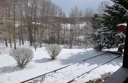 Town of Masonville House | Idyllic 3-Bedroom Log Cabin in a Scenic Country Retreat