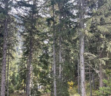 Courchevel Apartment | Inviting Studio with Mountain Views & Child-Friendly Amenities