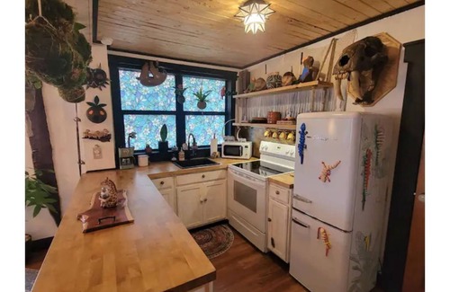 East Ybor House | Idyllic Jungle-House Hideaway with Hot Tub & Spa Amenities