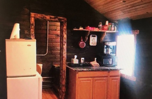 McArthur Cabin | Inviting Amish Log Cabin with Grill, Fire Pit & High-Speed WiFi