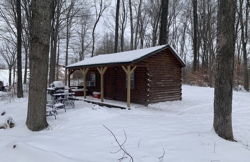 McArthur Cabin | Inviting Amish Log Cabin with Grill, Fire Pit & High-Speed WiFi