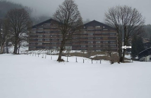 Muehlbach Am Hochkoenig Apartment | Charming Apartment with Breathtaking Views & Pet-Friendly Perks