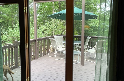Pisgah Forest Cottage | Charming Mountain-View Cottage with Spa & Family Amenities
