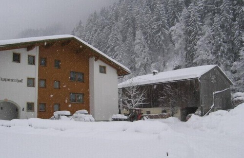 Aschau Im Zillertal Apartment | Inviting Apartment with Zillertal Mountain Views & Pool