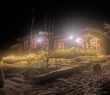 Lyngen House | Pet-Friendly Cabin with High Guest Rating of 9.3/10
