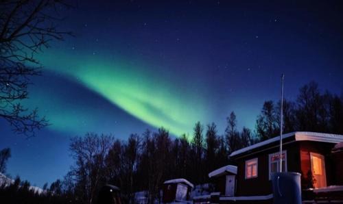 Lyngen House | Pet-Friendly Cabin with High Guest Rating of 9.3/10