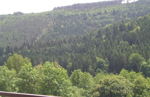 Bad Wildbad Apartment | Welcoming 2-Room Apartment with Ocean View & Kitchen