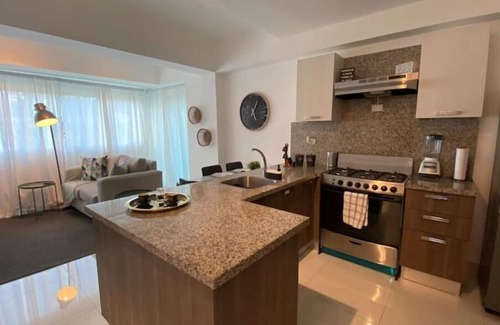 Yolanda Morales Apartment | Inviting 1 BR Apartment with Gym in Prime Piantini Location