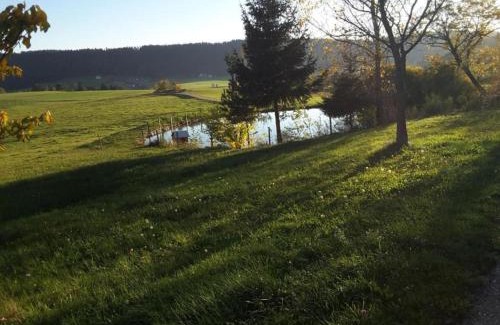 Villingen-Schwenningen Apartment | Family-Friendly Apartment with Garden in Schwenningen