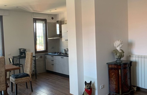 Marino Apartment | Cozy apartment 2 steps from Rome finely renovated and equipped