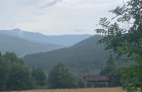Zelezna Ruda Apartment | Inviting Stay at Cozy Apartment Brčalnik - Rated 8.9/10