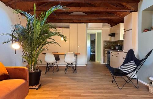 Minusio Apartment | Charming Apartment Surrounded by Nature - Pet & Child Friendly