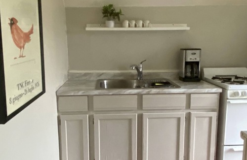 Bellevue Apartment | Pet-Friendly Apartment Near Casino, Stadiums & Downtown