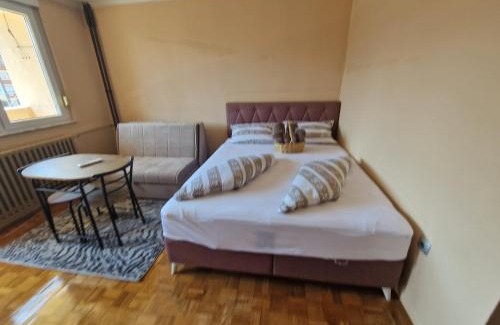 Zenica Apartment | Inviting Hotel with Child-Friendly Amenities and Comfort