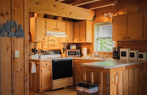 Vesta Cabin | Cozy Bear Claw Cove Cabin: Family-Friendly Retreat Near Parkway