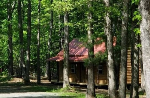 Jamestown Cabin | Pet-Friendly Cabin Near Big South Fork with Top Ratings