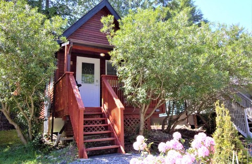 Ucluelet House | Charming Cabin Near Trails & Beaches - Pet Friendly Retreat