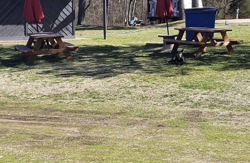 Proctor Cabin | Charming Riverfront Cabin with Golfing and Family Amenities