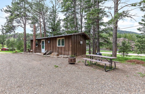 Hill City Cabin | Family-Friendly Cabin with Pool - Guest Rated 9.8/10