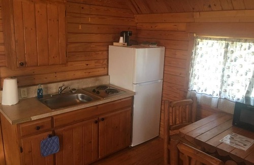 Argillite Cabin | Inviting Cabin Retreat with Kitchen & Pool Access