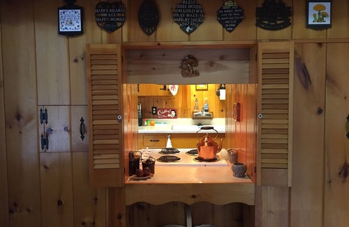Idyllwild Cabin | Inviting Cabin Near Arts & Music - Pet Friendly with Wifi
