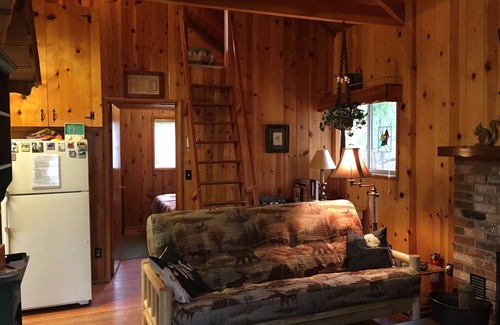 Idyllwild Cabin | Inviting Cabin Near Arts & Music - Pet Friendly with Wifi