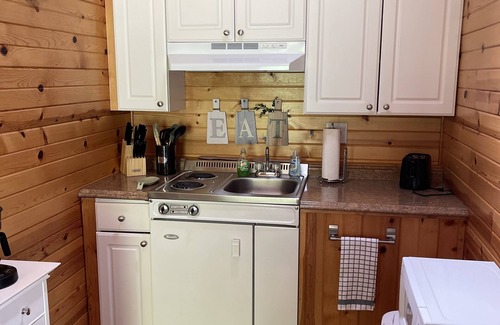 Wisconsin Dells Cabin | Inviting Cabin A in Beautiful Wisconsin Dells with Hot Tub