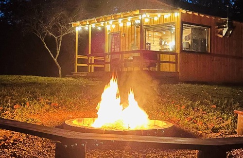 Reliance Cabin | Inviting Cabin Near Hiwassee River in Cherokee Forest