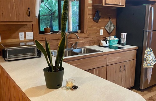 Bastrop Cabin | Cozy cabin in the pines of Bastrop with AC, WiFi