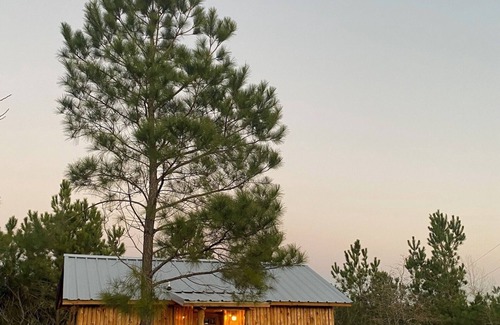 Bastrop Cabin | Cozy cabin in the pines of Bastrop with AC, WiFi