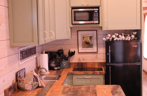 New Braunfels Cabin | Charming Cabin by the Comal River with Breakfast & Kitchen