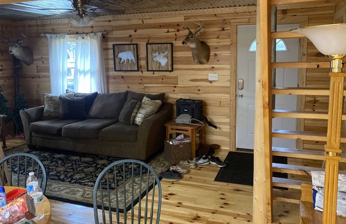 Grayling Cabin | Idyllic Cabin Retreat by the Au Sable with Pool & Kitchen