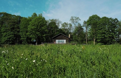 Rockwood Cabin | Picturesque Cabin Escape with Creek and Pond Access