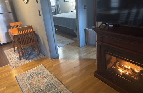 Mayo River Cabin | Cozy cabin on Blueberry Orchard with WiFi & AC & Heat