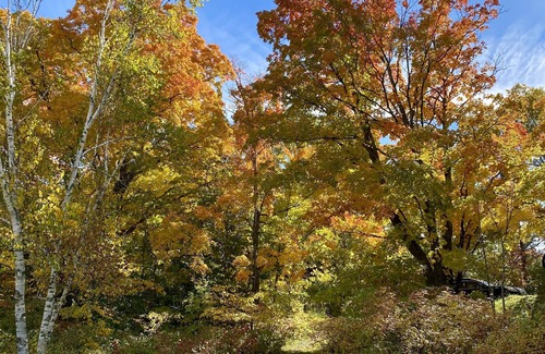 Clearview Cabin | Charming Cabin Retreat with Hot Tub & Family-Friendly Perks