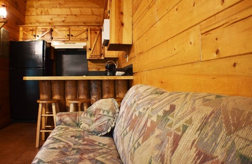 Octavia Cabin | Inviting Cabin with Fire Pit Pavilion near Boat Ramp