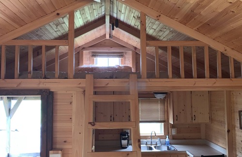 Albany House | Relaxing Cabin Retreat with Private Yard Near Dale Hollow Lake